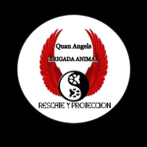 Quan Angels Brigada Animal ONG