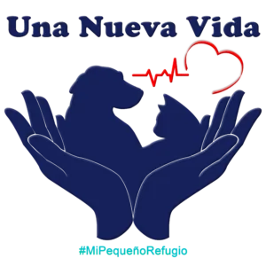 Recaudación Una Nueva Vida