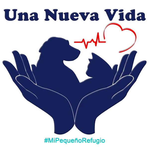 Recaudación Una Nueva Vida